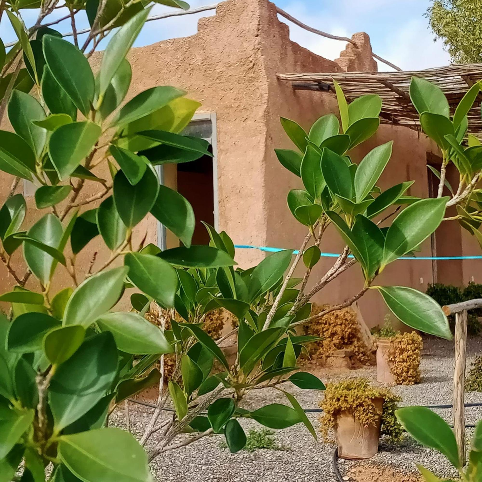 Hotel Ngayan Camp à Taïzelt Extérieur photo